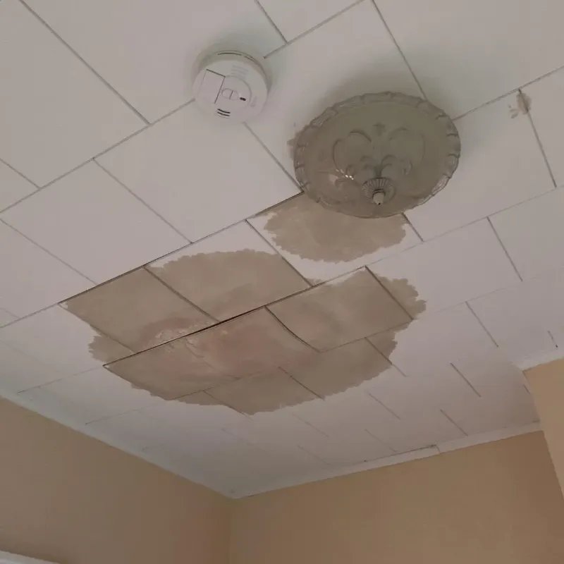 Ceiling Water Damage Repair in Calaveras County, CA