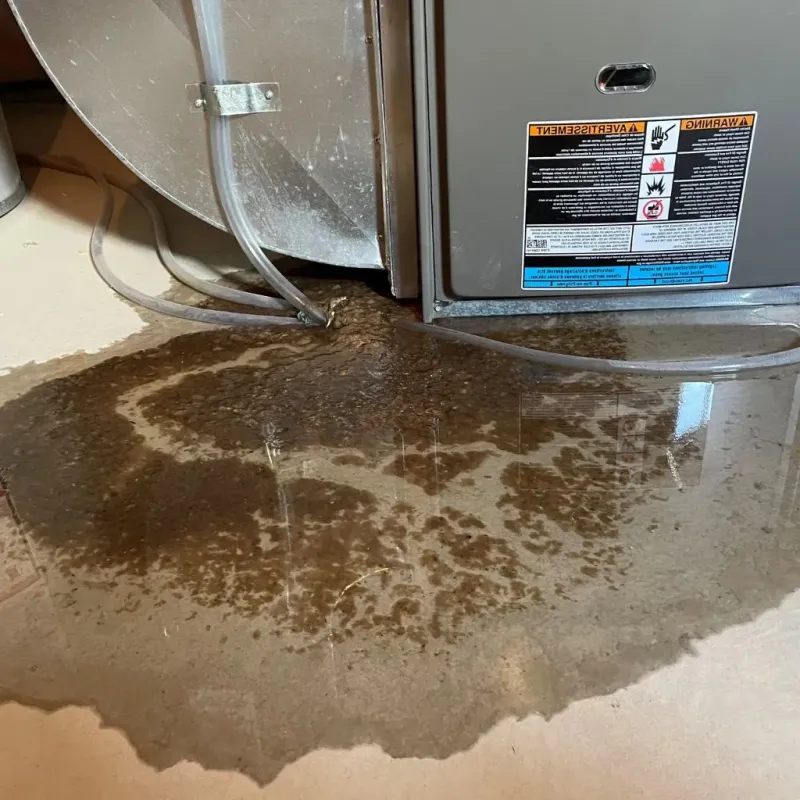Pipe Burst and Leak Restoration in Calaveras County, CA
