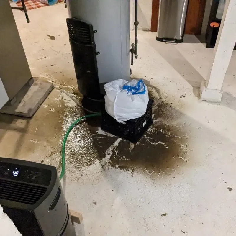 Sewage Backup Cleanup Service in Calaveras County, CA